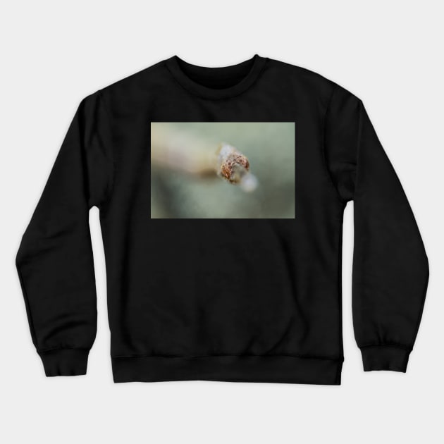 I see you Crewneck Sweatshirt by SCUBAddict